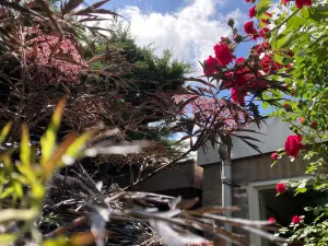 Ina 04 In mijn tuin